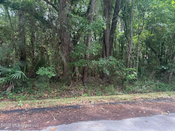 $10,000 | John Williams Road, Moss Point, MS 39563