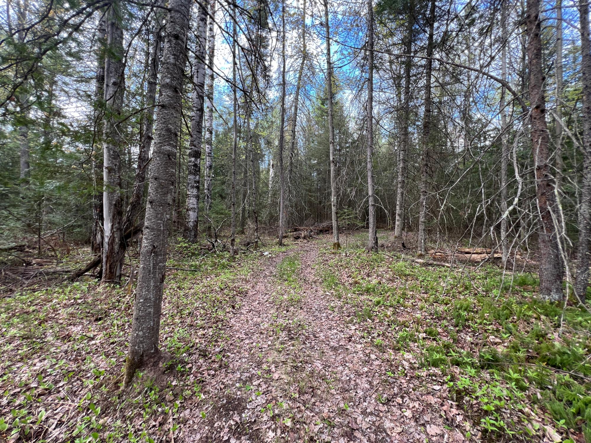 On Ripco Road Eagle River, WI 54521 - Photo 10 of 20 Gallery Image 10