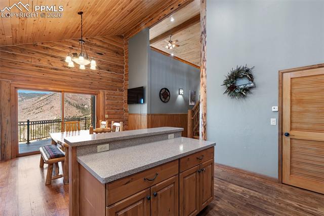 9110 Mountain Road Cascade, CO 80809 - Photo 8 of 49 Gallery Image 8