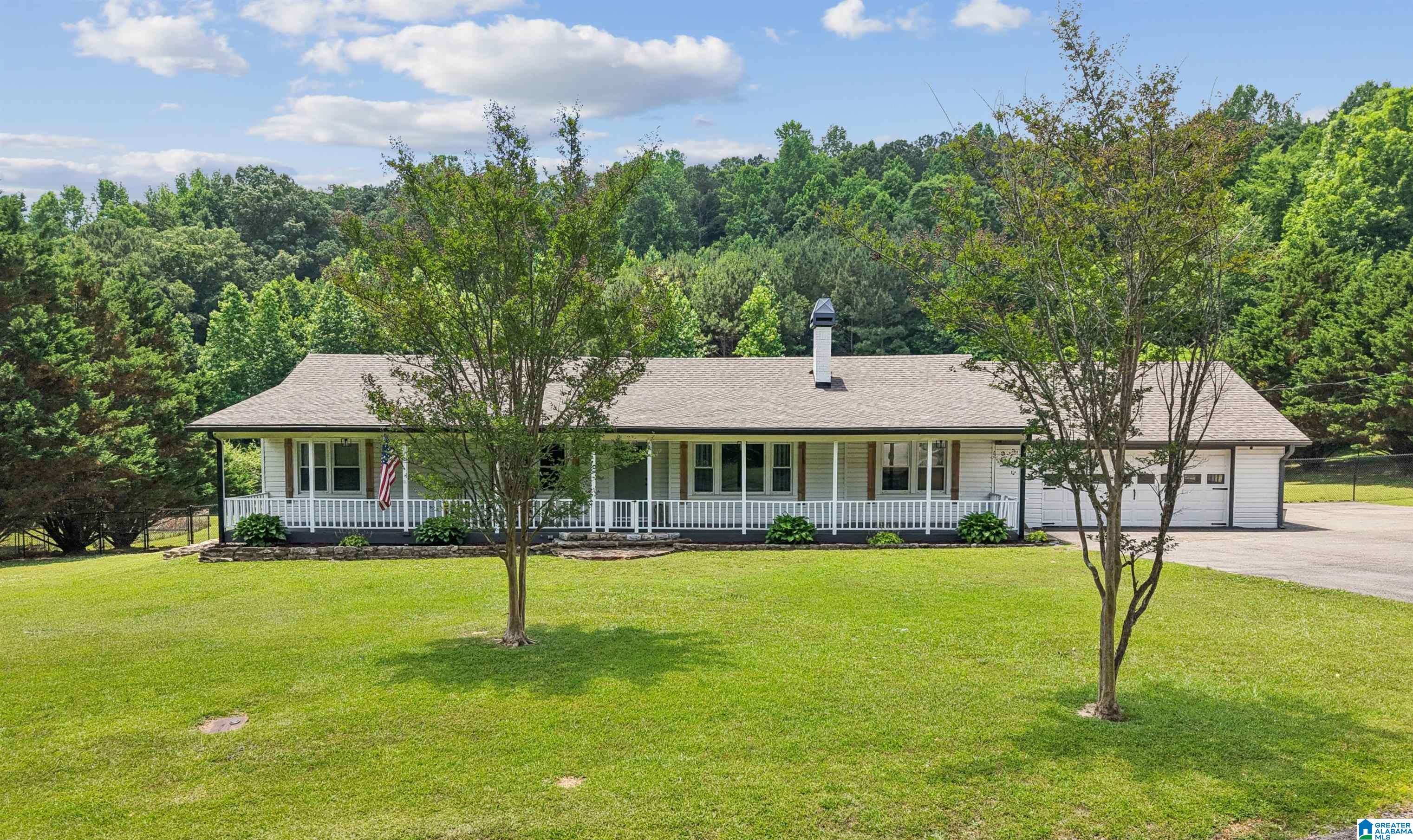 233 Village Springs Road Springville, AL 35146 - Photo 1 of 23