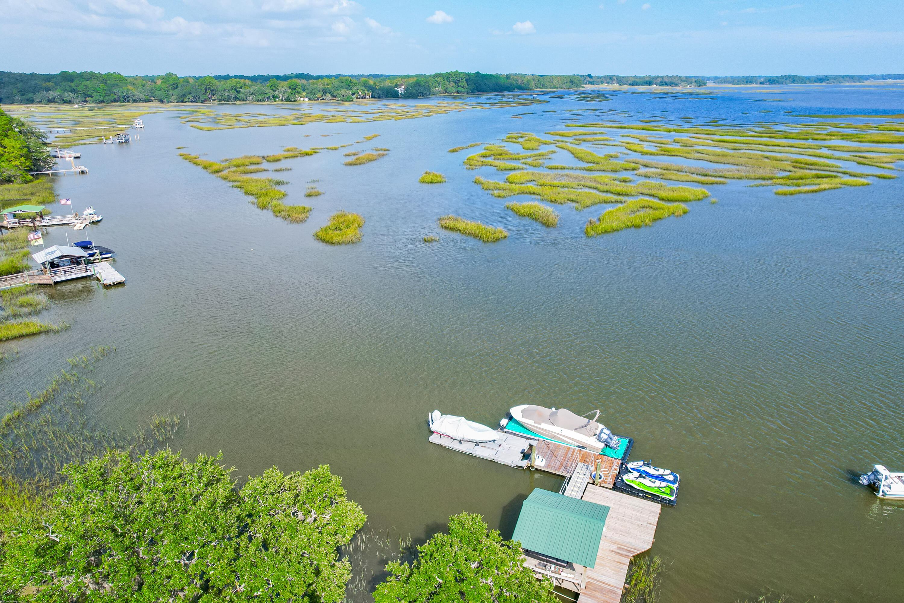 4639 Shark Hole Road Meggett, SC 29449 - Photo 98 of 100 4639 Shark Hole (43)