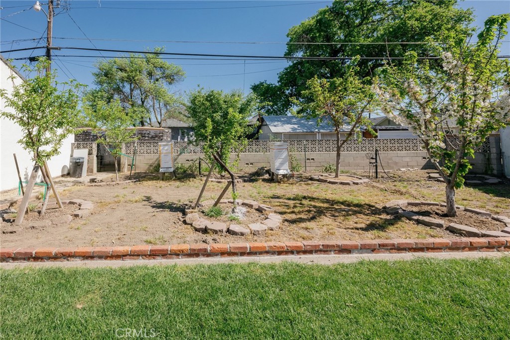 929 3rd Street Orland, CA 95963 - Photo 49 of 61 Fruit Tree Mini Orchard