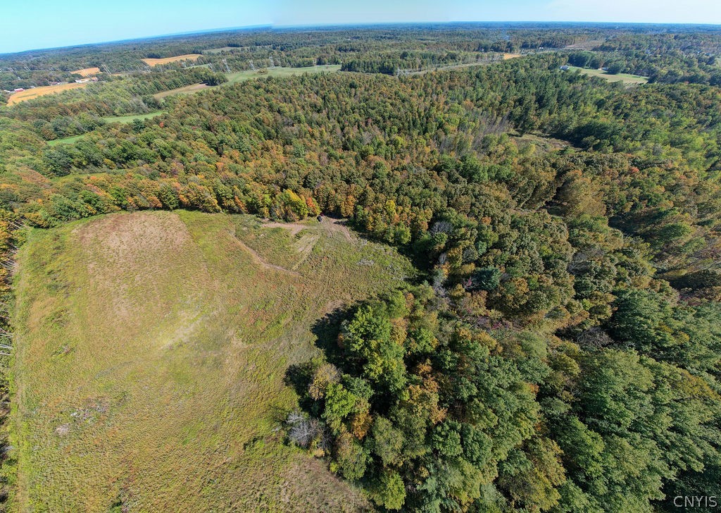 0 Gilbert Mills Road Phoenix, NY 13135 - Photo 3 of 10