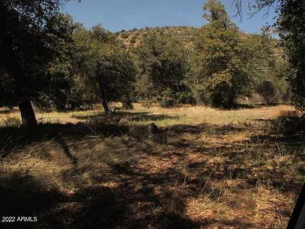 a view of a yard with a tree