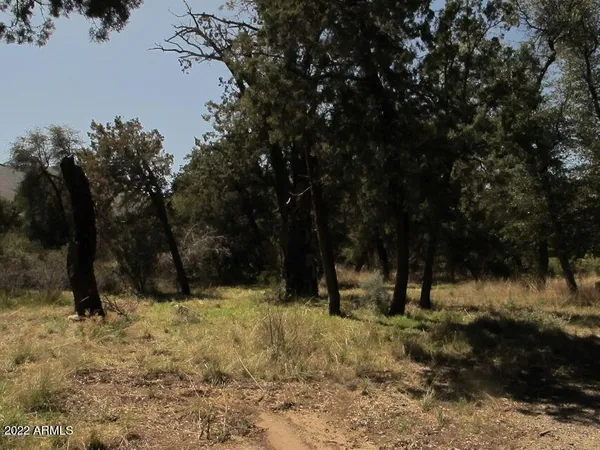 a view of outdoor space with trees