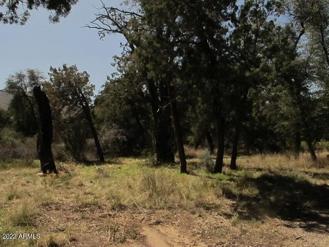 a view of outdoor space with trees