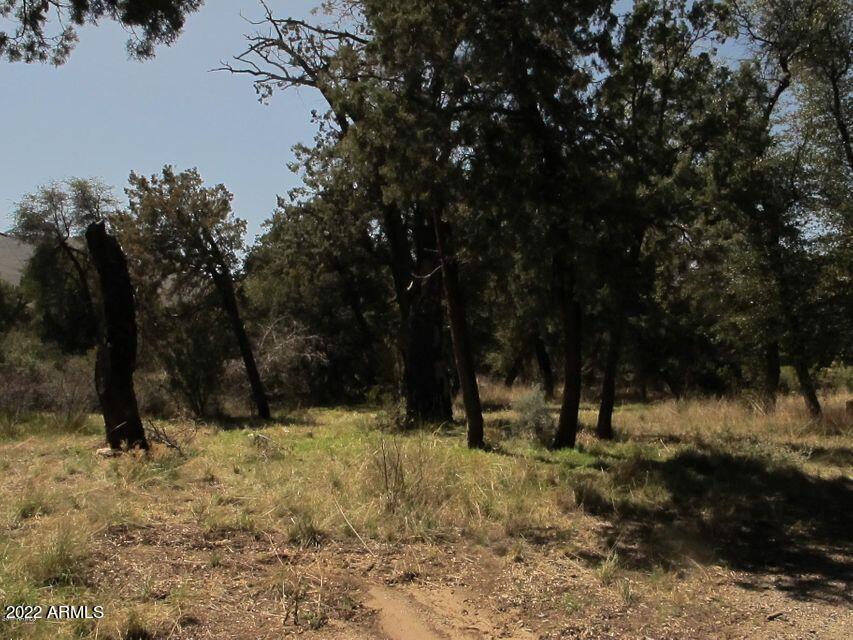 52975 East Harper F Road Miami, AZ 85539 - Photo 6 of 8 a view of outdoor space with trees