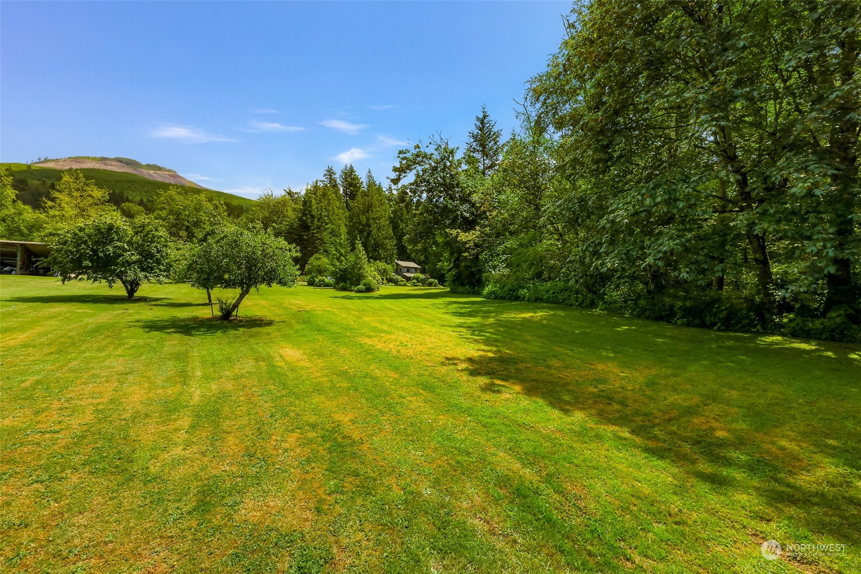 3901 Cabrant Road Everson, WA 98247 - Photo 39 of 40 a park with trees in the background