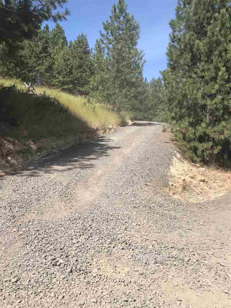 16005 North Halliday Road Mead, WA 99021 - Photo 11 of 14