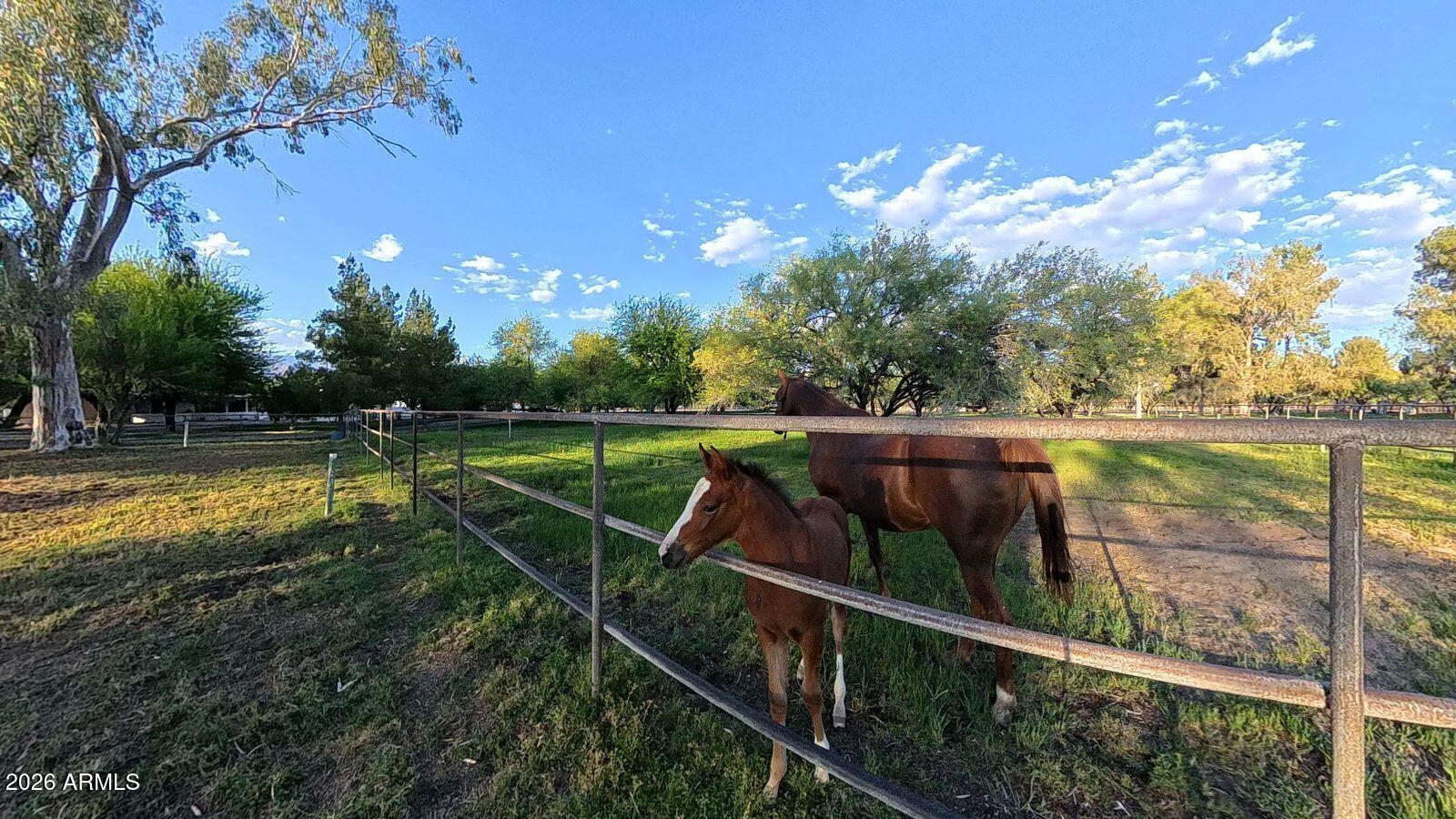 8741 East Woodland Road Tucson, AZ 85749 - Photo 48 of 51 Woodland 8741 E img 00_041