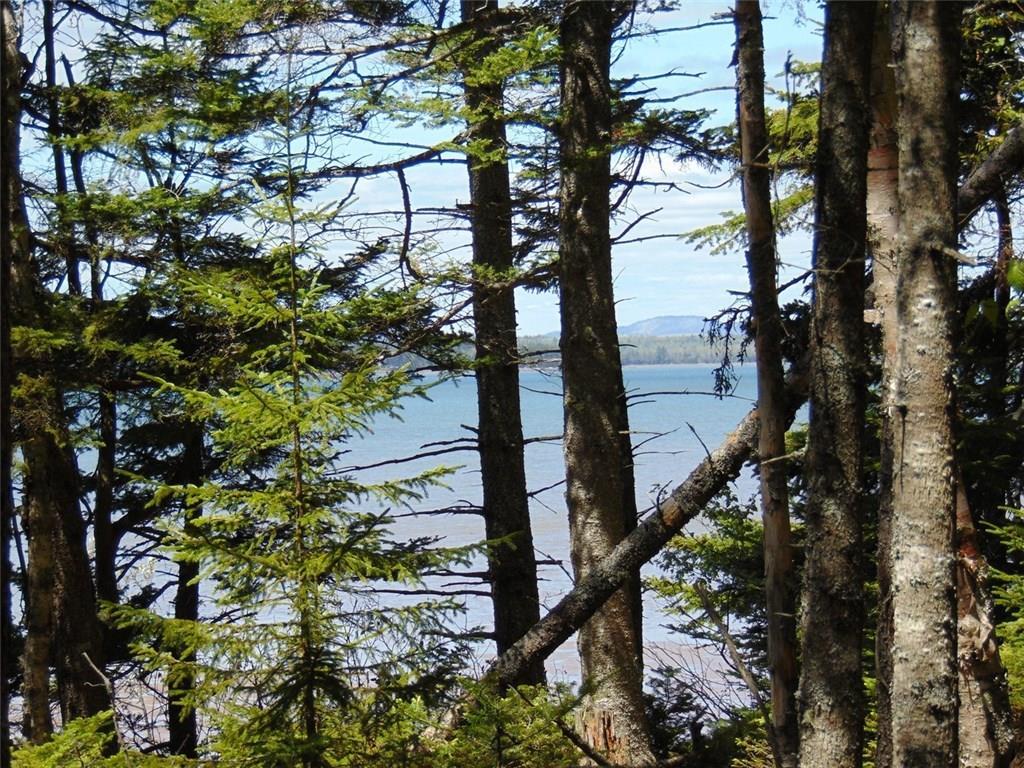 0 Ripley Point Road Harrington, ME 04643 - Photo 13 of 34 Photo