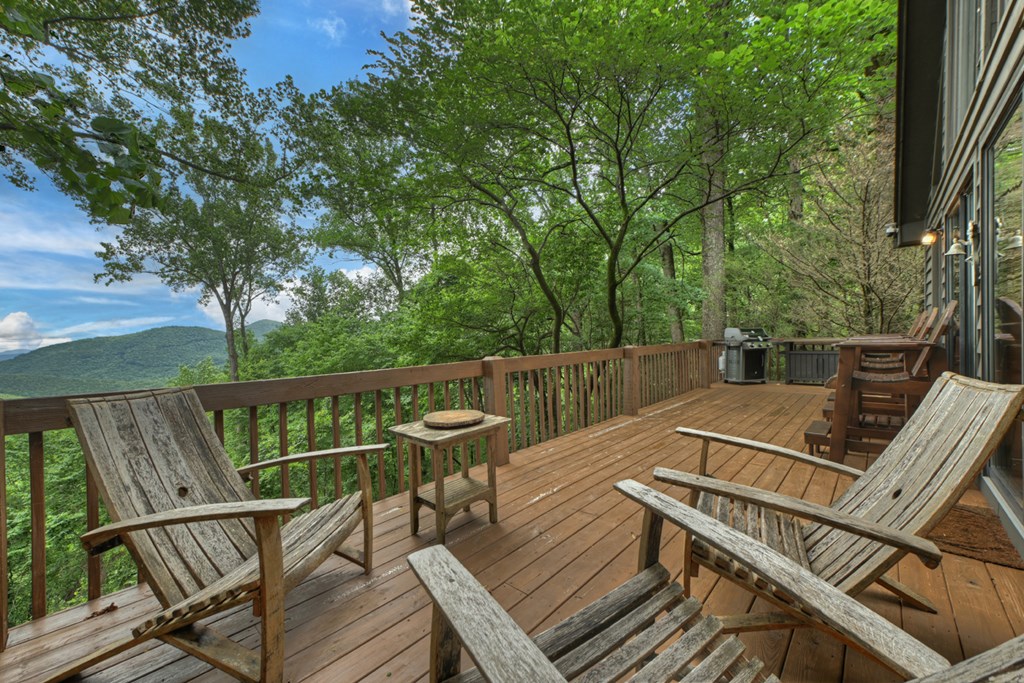 161 Walnut Ridge Ellijay, GA 30536 - Photo 16 of 66