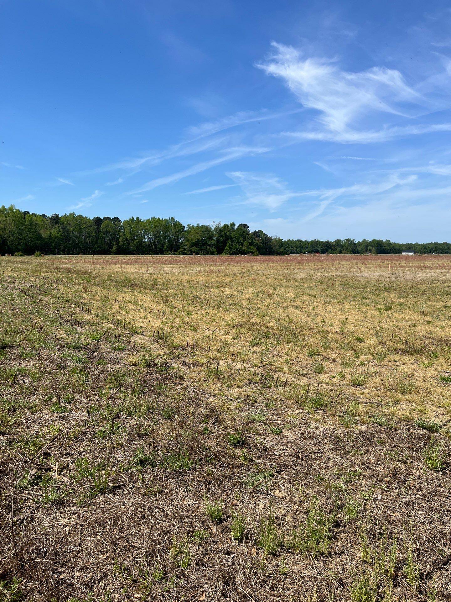 1 Judson Road, Unit MTA 1 Dillon, SC 29536 - Photo 2 of 28