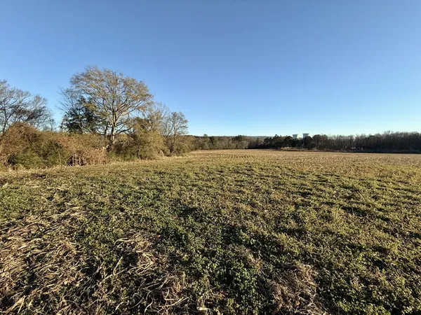 a view of an ocean beach