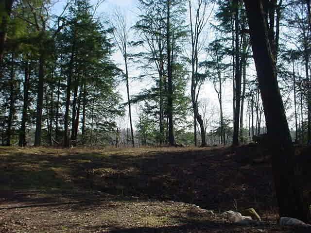 On Stafford Point Road North, Unit LOT 9 Mercer, WI 54547 - Photo 4 of 15 Gallery Image 4