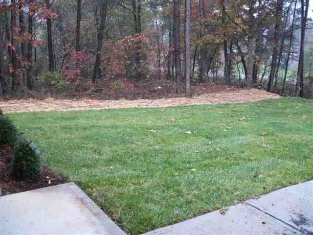 119 James Road, Unit LORA Easley, SC 29642 - Photo 11 of 12 Gallery Image 11