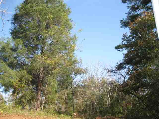 119 James Road, Unit LORA Easley, SC 29642 - Photo 12 of 12 Gallery Image 12
