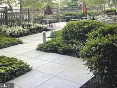 440 L Street Northwest, Unit 1112 Washington, DC 20001 - Photo 3 of 20 a view of a garden