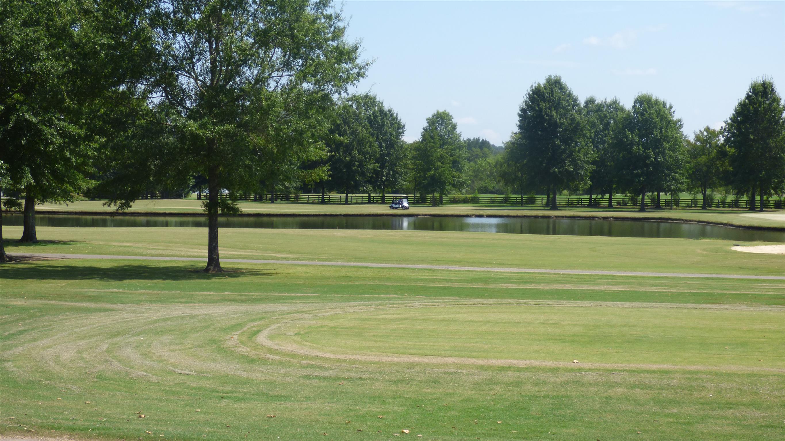 14136 Mt Pleasant Road Rockvale, TN 37153 - Photo 20 of 21 a swimming pool with lots of green space and trees in the background