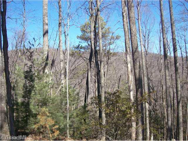 1471 Carson Creek Road Lowgap, NC 27024 - Photo 1 of 4 View.