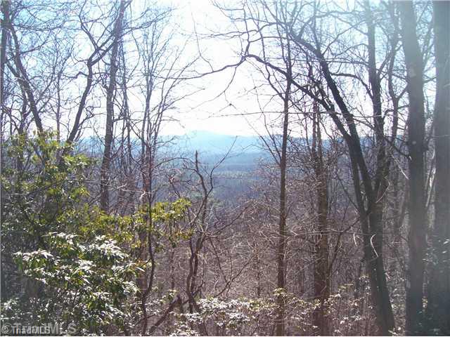 1471 Carson Creek Road Lowgap, NC 27024 - Photo 2 of 4 View.