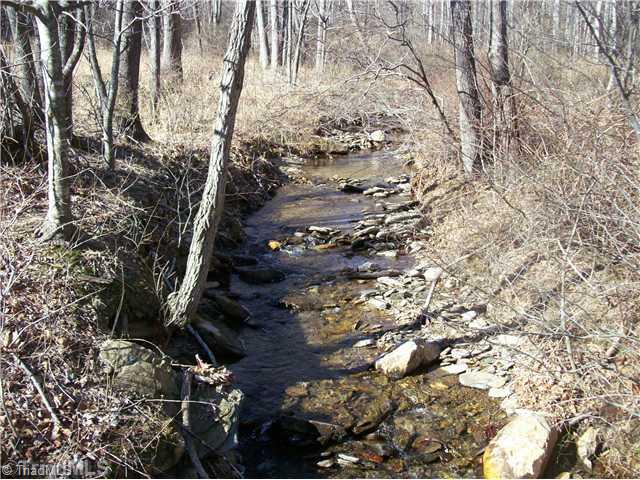 1471 Carson Creek Road Lowgap, NC 27024 - Photo 3 of 4 Land.
