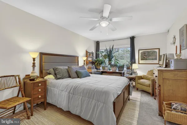 a bedroom with a large bed a potted plant and dresser
