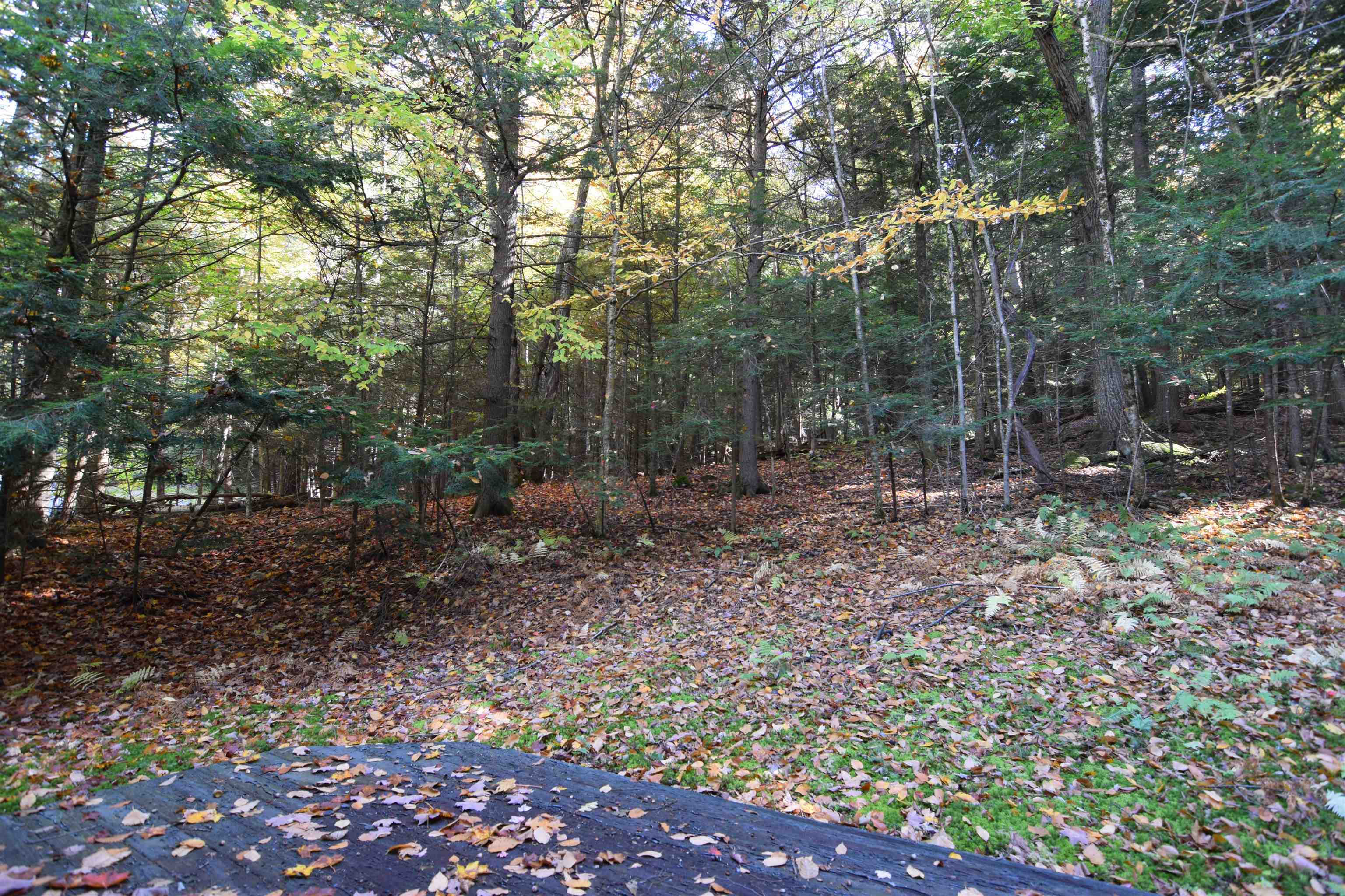 32 Low Road Hanover, NH 03755 - Photo 34 of 41