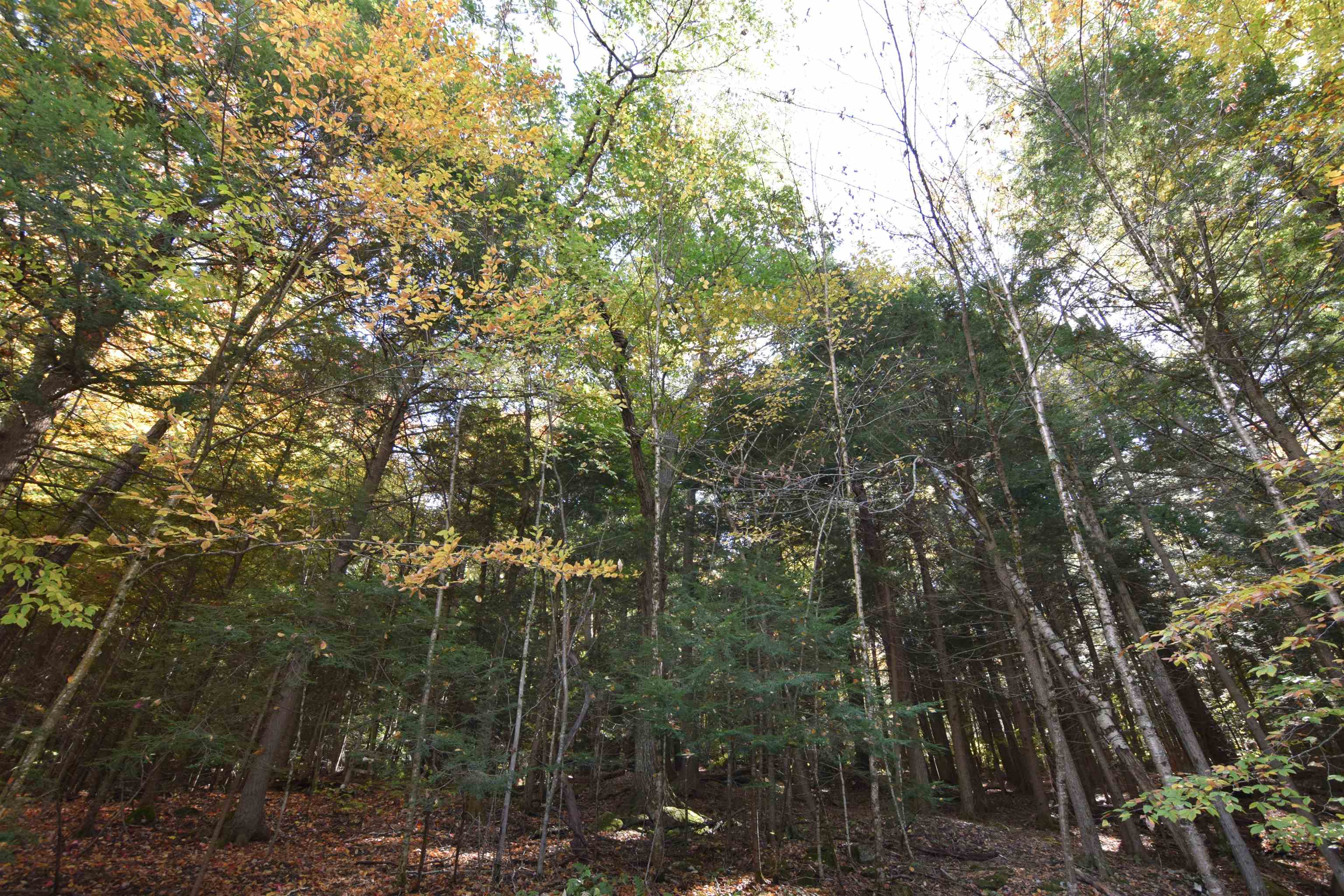 32 Low Road Hanover, NH 03755 - Photo 35 of 41