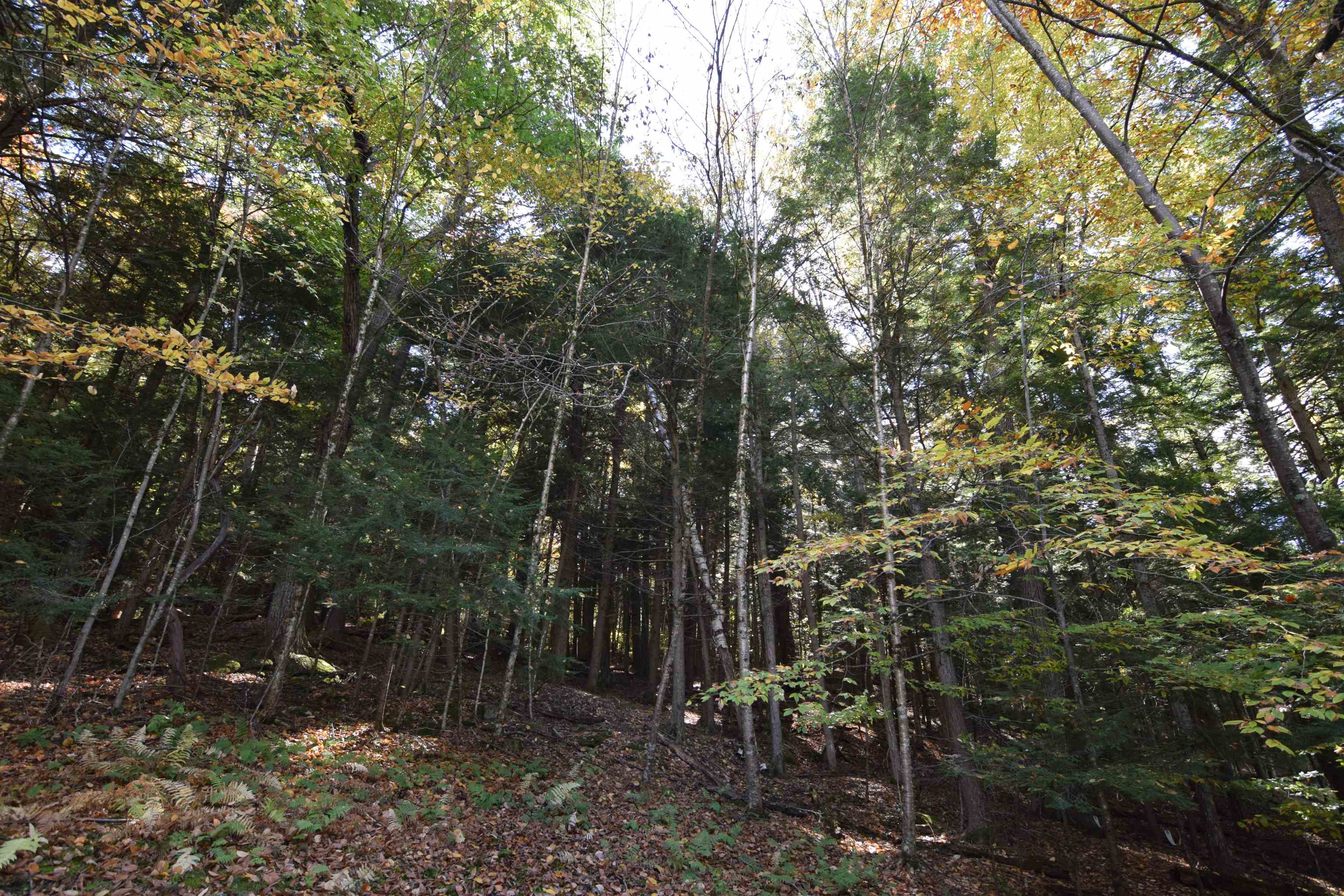 32 Low Road Hanover, NH 03755 - Photo 36 of 41