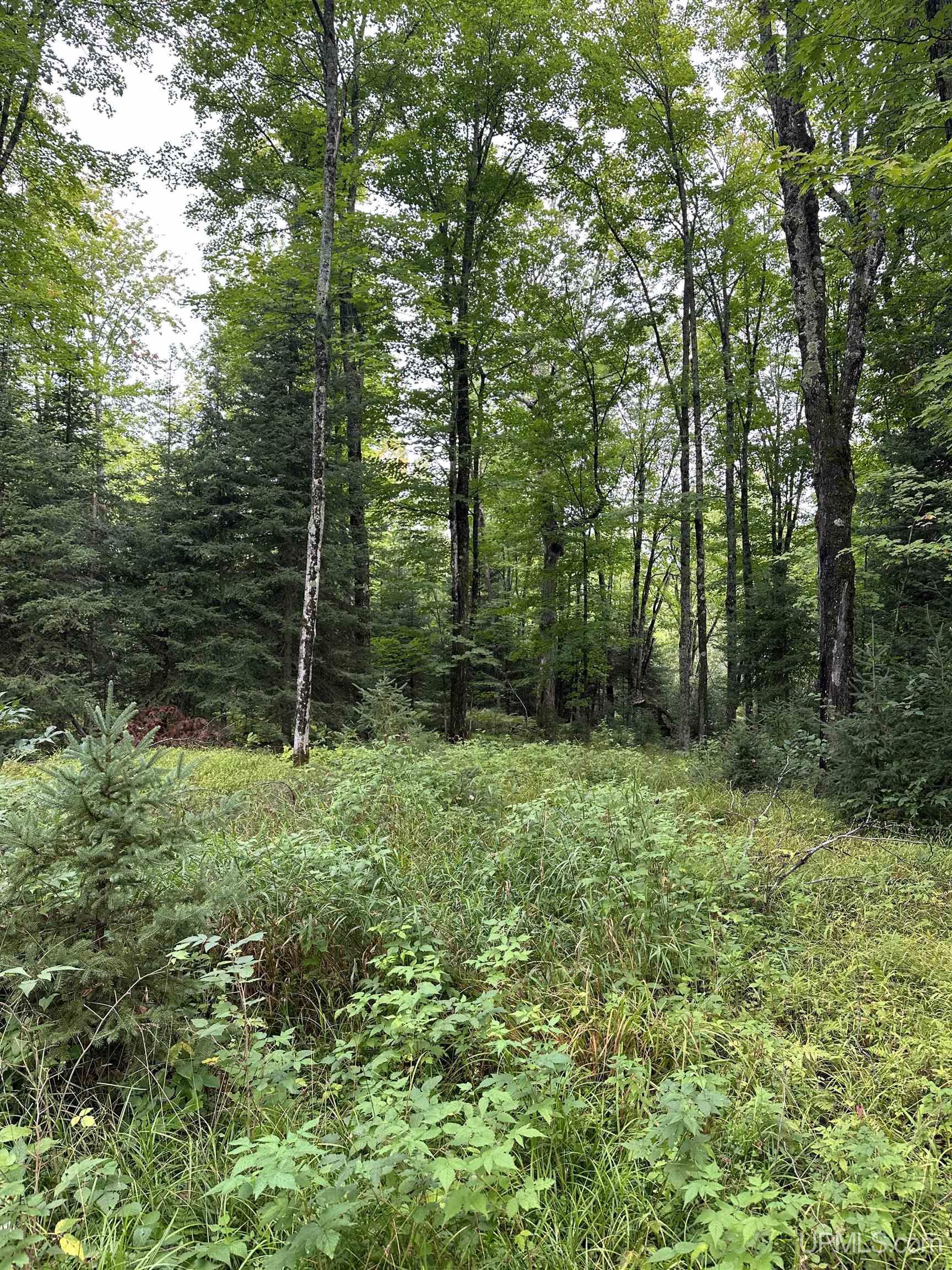 Lot #4 Maple Ridge Road Negaunee, MI 49866 - Photo 5 of 6