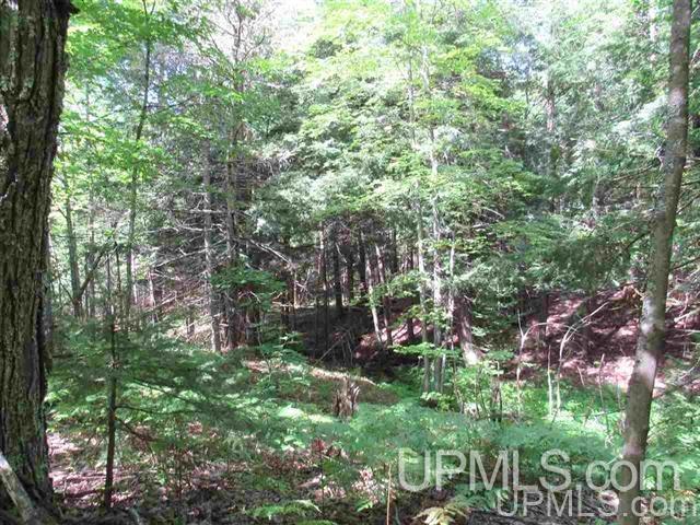 75 A Off Winona Tower Road Toivola, MI 49965 - Photo 2 of 4