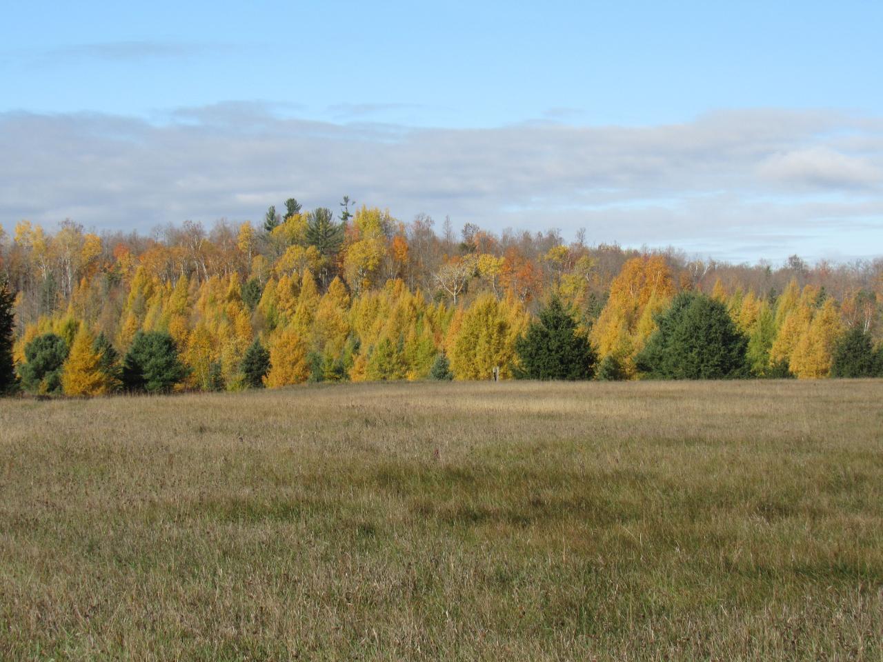 Tbd Homestead Joint Road Fence, WI 54120 - Photo 2 of 24 Gallery Image 2