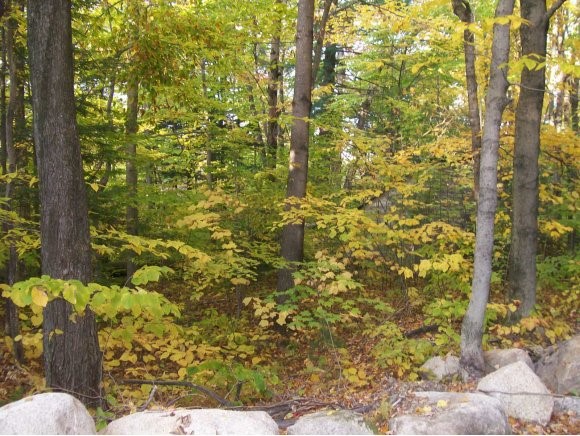 248-250 Ossipee Mountain Road Ossipee, NH 03814 - Photo 1 of 1 Gallery Image 1