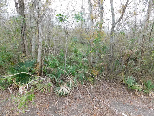 $90,000 | 316-627 County Road, Brazoria, TX 77422