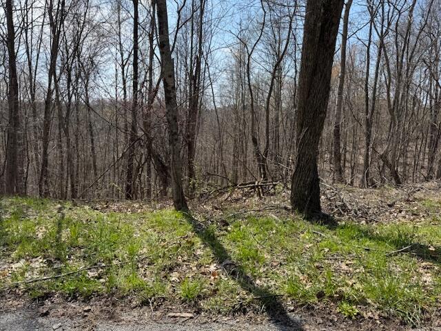 9999 Ember Road Livingston, KY 40445 - Photo 5 of 13 IMG_2848