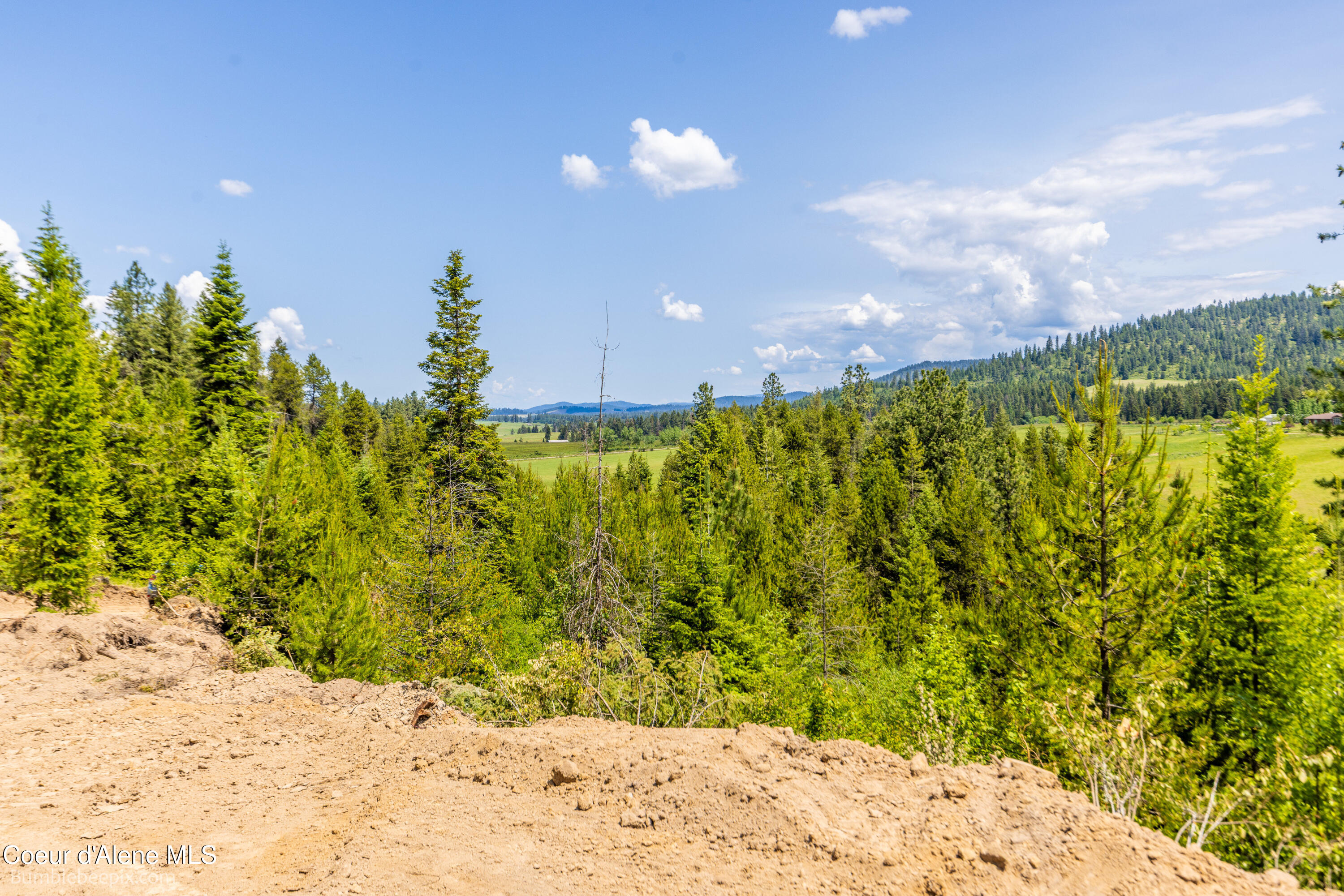 Nna Nna Lowry Plummer, ID 83851 - Photo 30 of 41 030_bb193276-30_313