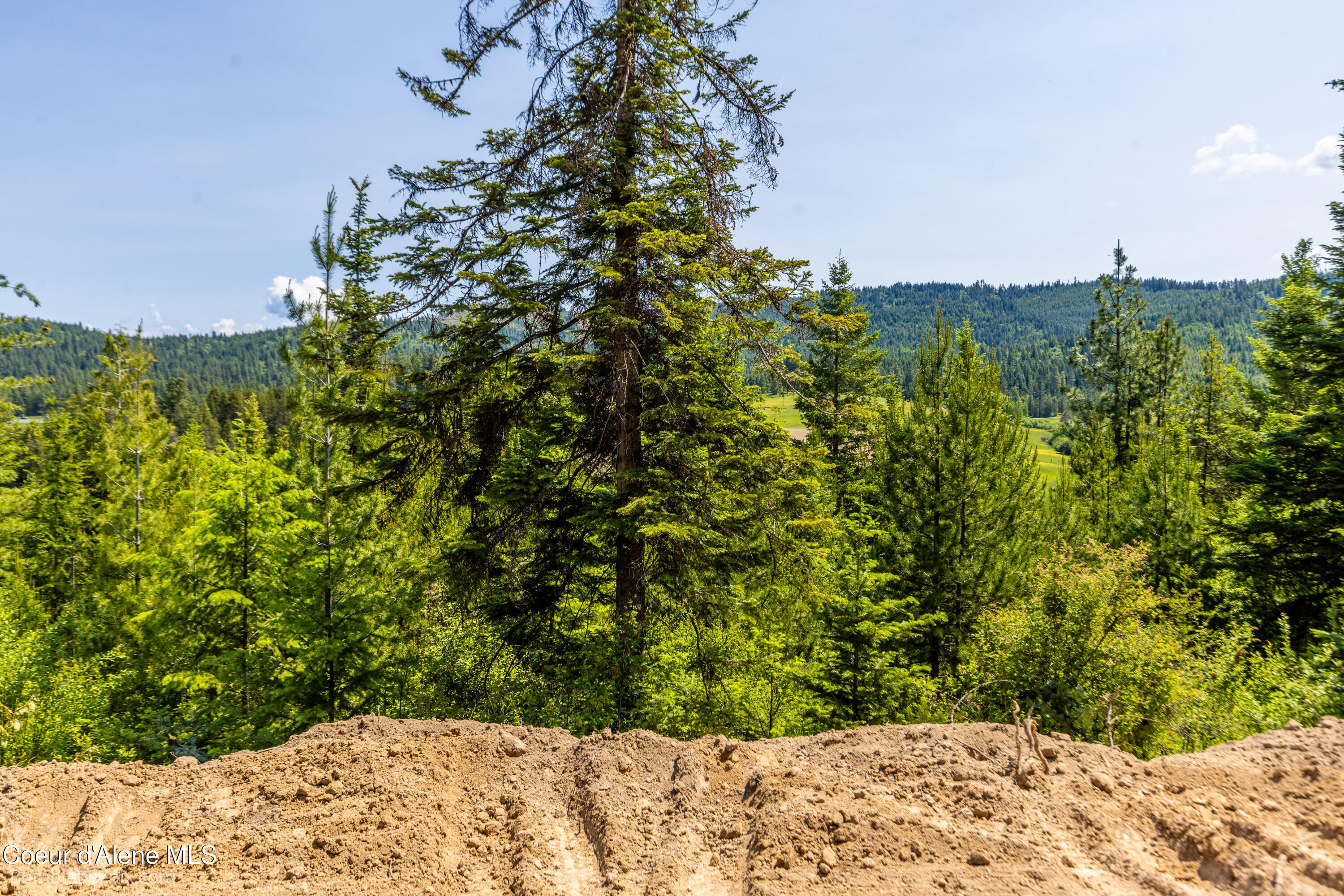 Nna Nna Lowry Plummer, ID 83851 - Photo 40 of 41 031_bb193276-31_68