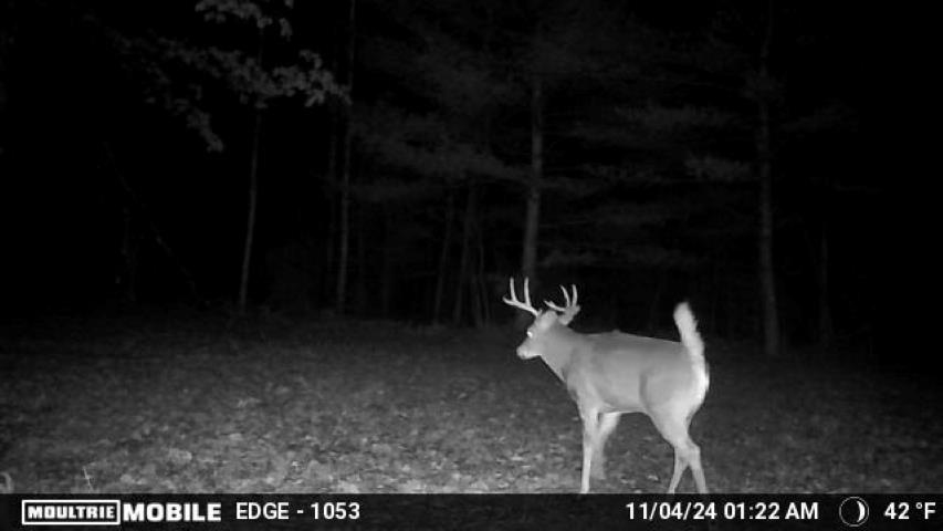 Vl Kolarvic Road Manton, MI 49663 - Photo 14 of 28