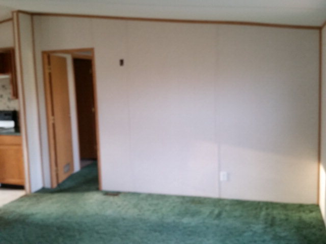 124 Trice Road Hobgood, NC 27843 - Photo 2 of 9 Additional Photo