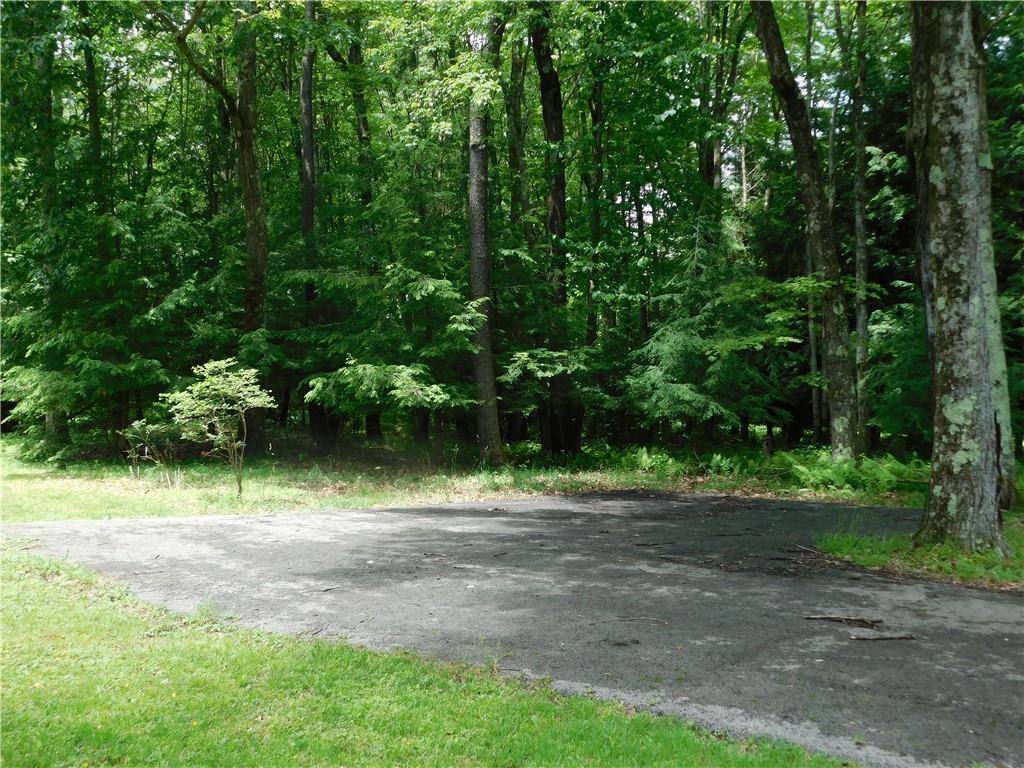 367 Pike School Road Markleysburg, PA 15459 - Photo 4 of 16 a view of a yard