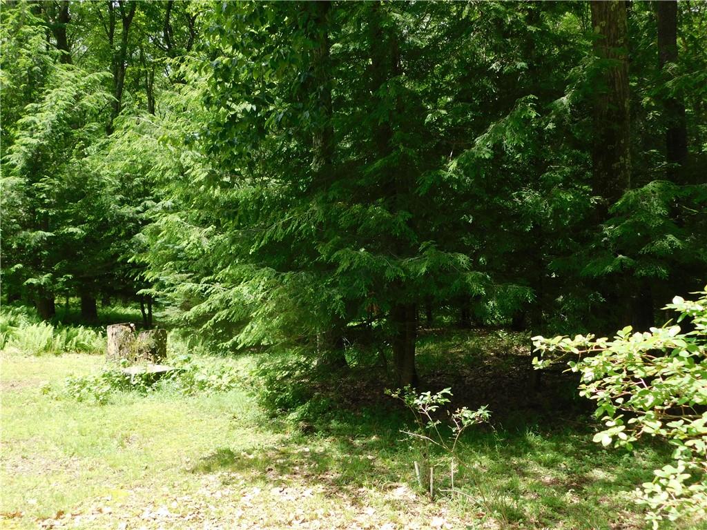 367 Pike School Road Markleysburg, PA 15459 - Photo 6 of 16 a view of a garden with plants