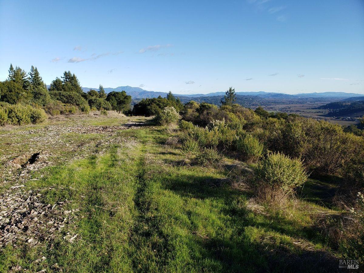 9695 West Dry Creek Road Geyserville, CA 95441 - Photo 4 of 5