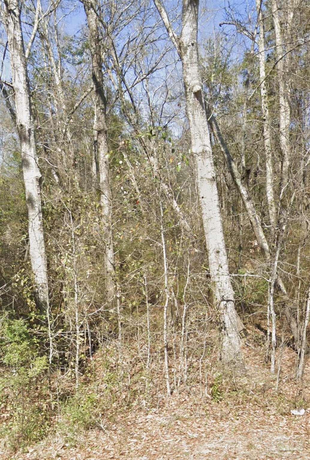 6000 Frank Reeder Road Pensacola, FL 32526 - Photo 1 of 1 Gallery Image 1