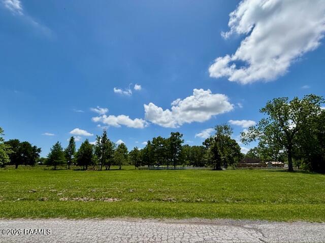 Tbd Walnut Road Abbeville, LA 70510 - Photo 2 of 4 IMG_2546