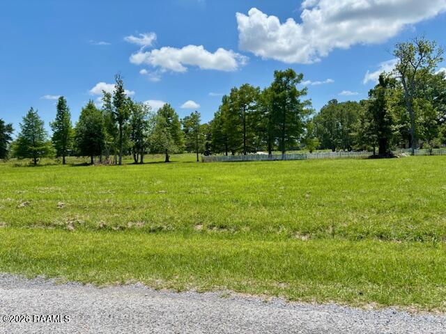 Tbd Walnut Road Abbeville, LA 70510 - Photo 3 of 4 IMG_2544