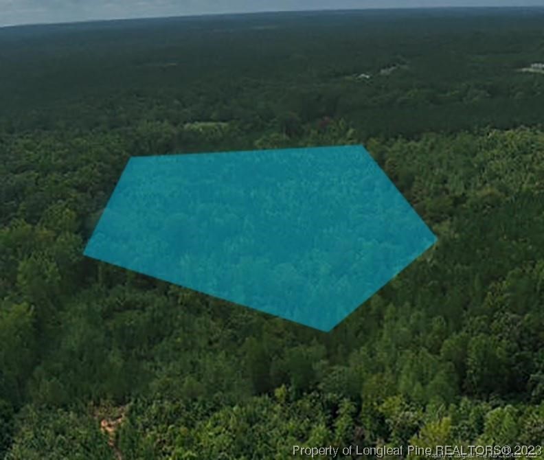 0 Warren Road Carthage, NC 28327 - Photo 2 of 9 a view of a green yard