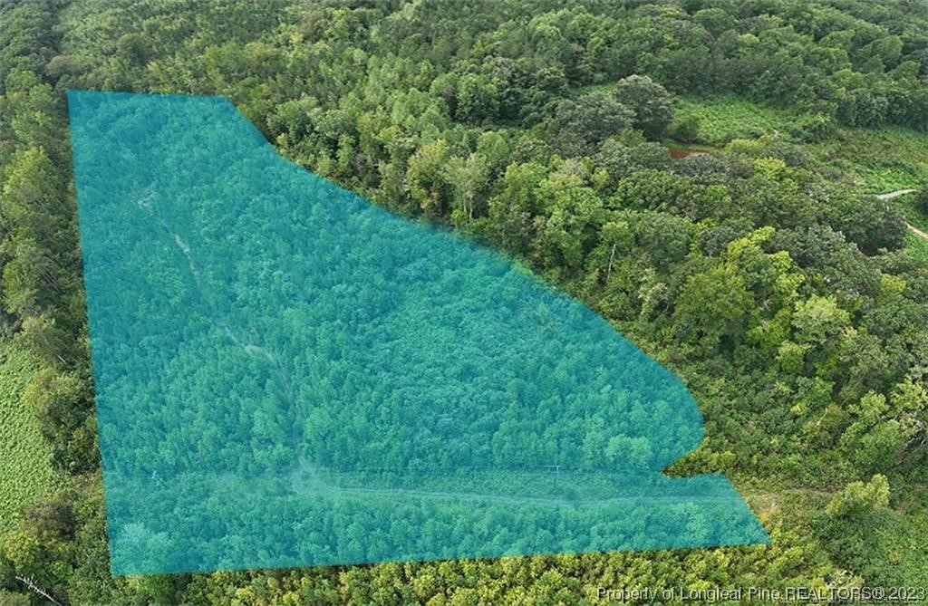 0 Warren Road Carthage, NC 28327 - Photo 3 of 9 a view of a lush green space