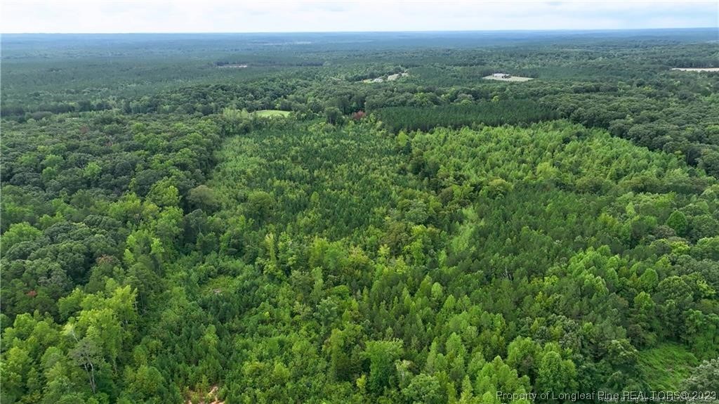 0 Warren Road Carthage, NC 28327 - Photo 5 of 9 a view of a green field with lots of bushes