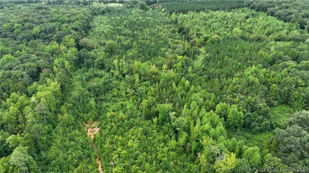 0 Warren Road Carthage, NC 28327 - Photo 6 of 9 a view of a lush green forest